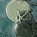 Night Owl, Great Horned Owl