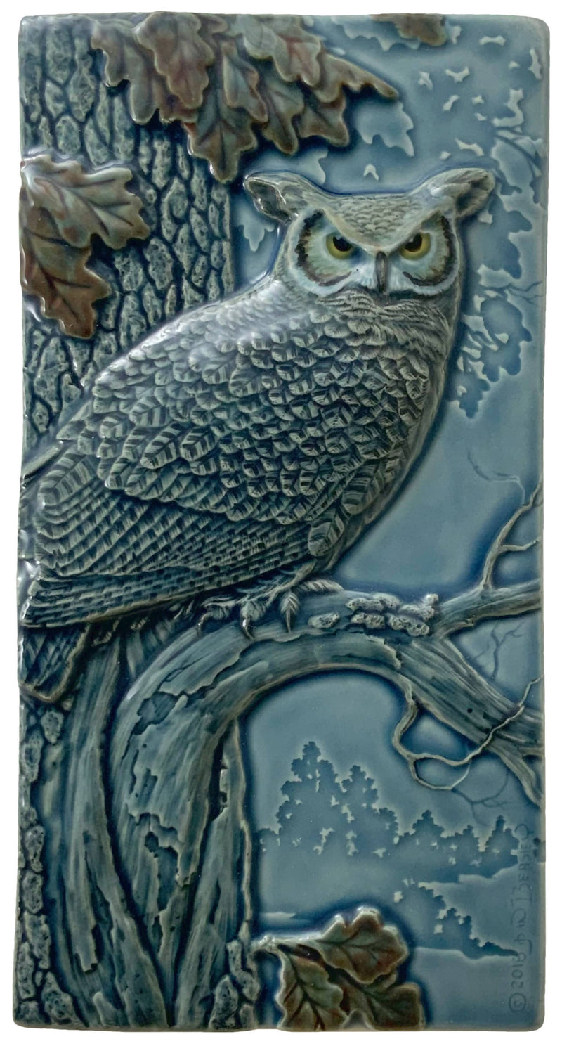 Night Shift / Great Horned Owl